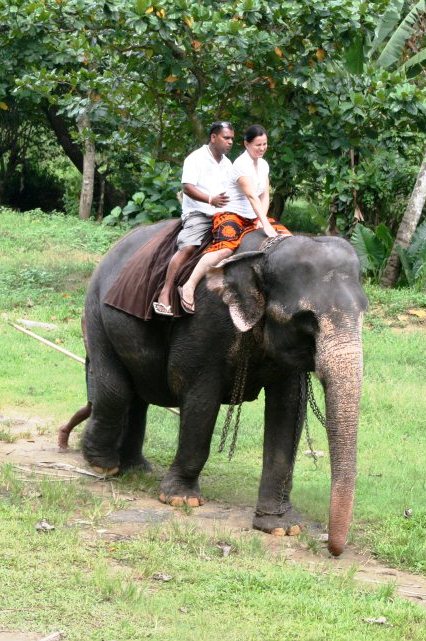 Sri Lanka - vozenie sa na slonoch
